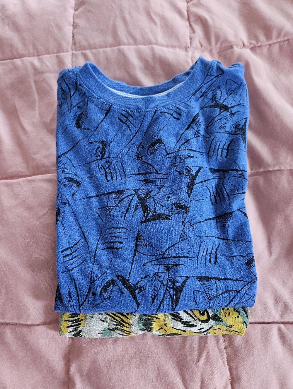 Cat & Jack Lot Of 2 Boys Tee Shirts Size S 6/7